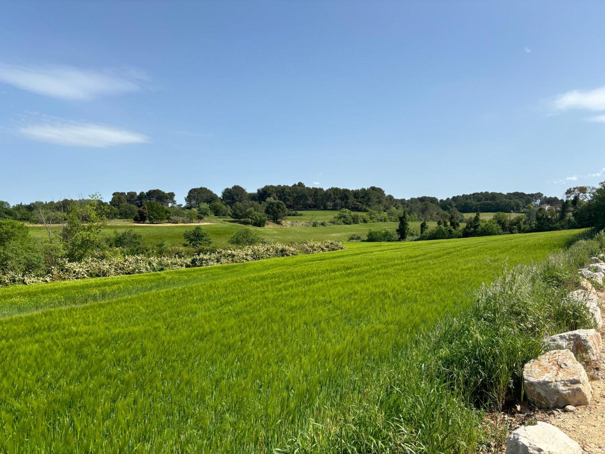 Appartamento Havre De Paix Au Sein D'un T3 D'une Bastide Aixoise Aix-en-Provence